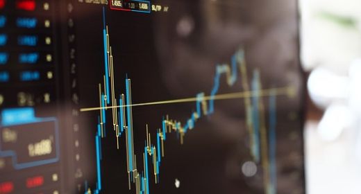 Shareholder Infomation
